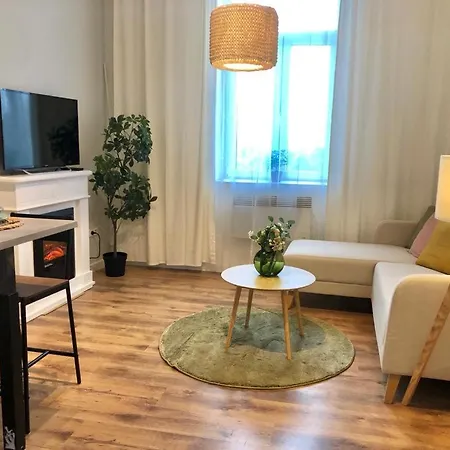 Vinohrady Apartment Brno