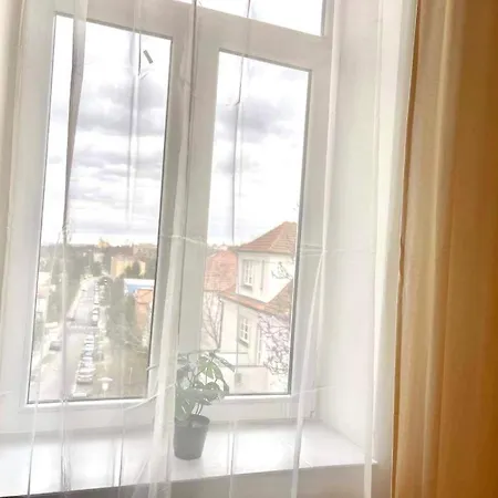 Vinohrady * Brno